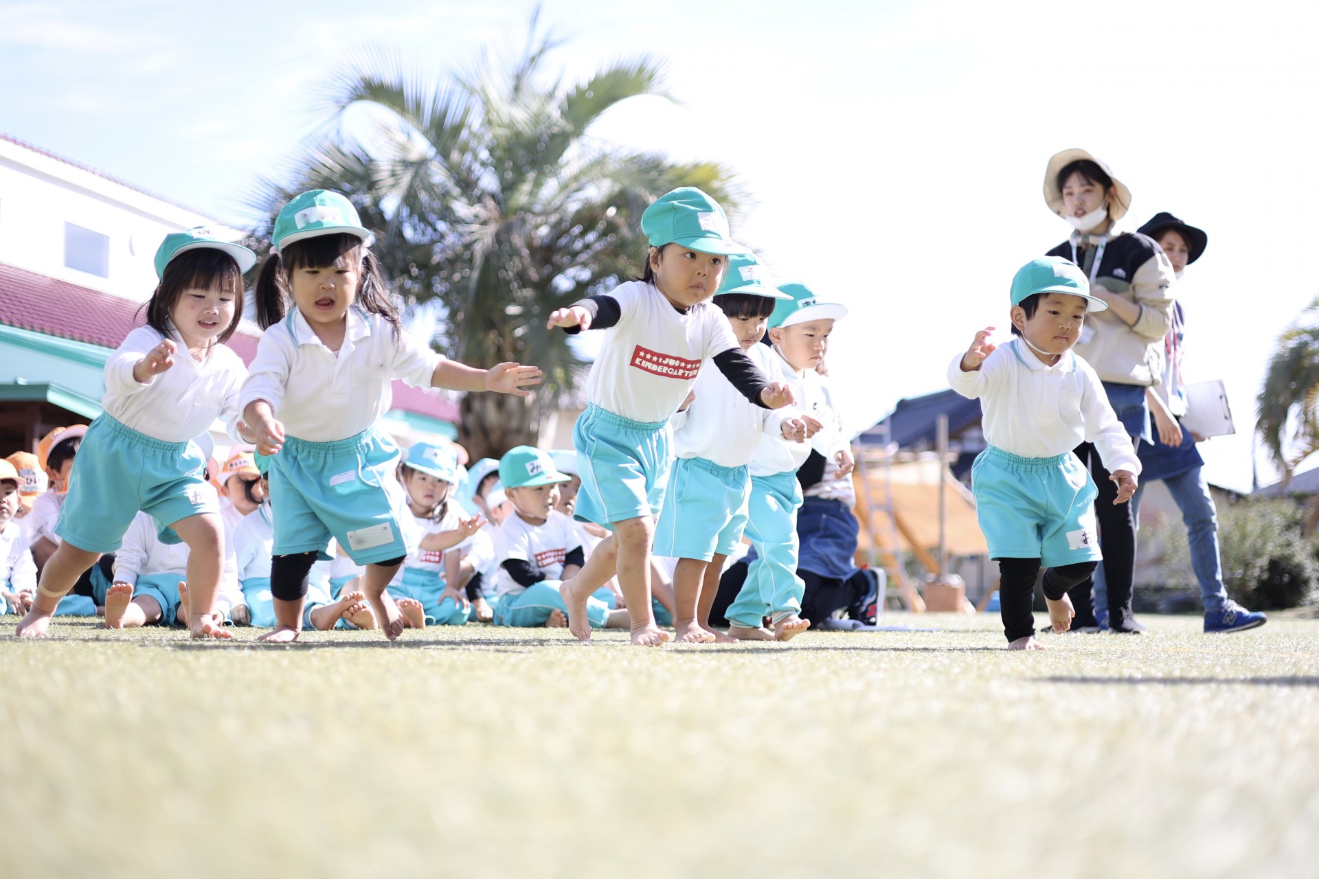 運動参観のみどころ（緑・年少）